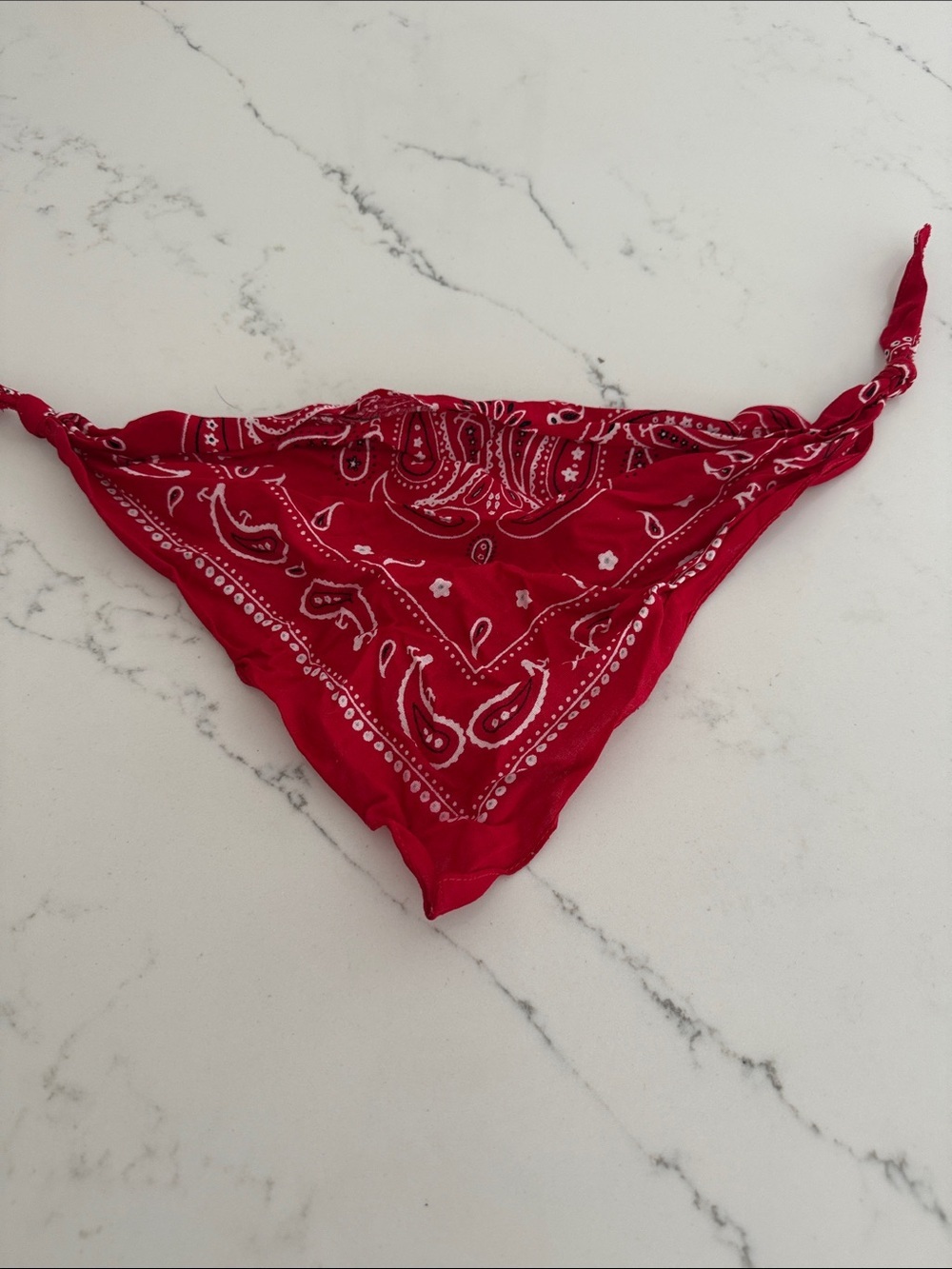 Classic Red Paisley 1/2 Bandana Scarf